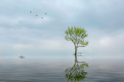 中央財經(jīng)大學在職研究生入學流程