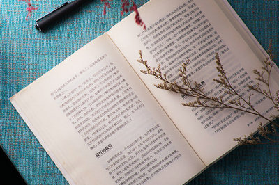 中央財(cái)經(jīng)大學(xué)在職研究生 中央財(cái)經(jīng)大學(xué)在職研究生