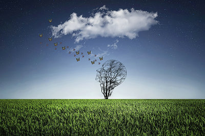 中央財經(jīng)大學在職研究生 中央財經(jīng)大學在職研究生