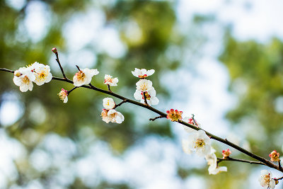 中央財經(jīng)大學(xué)在職研究生 中央財經(jīng)大學(xué)在職研究生