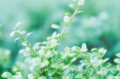 中央財(cái)經(jīng)大學(xué)在職研究生報(bào)考條件 中央財(cái)經(jīng)大學(xué)在職研究生報(bào)考條件