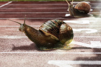 中央財(cái)經(jīng)大學(xué)在職研究生考試 中央財(cái)經(jīng)大學(xué)在職研究生考試