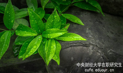 中央財(cái)經(jīng)大學(xué)同等學(xué)力申碩達(dá)到多少分才算通過(guò)考試？