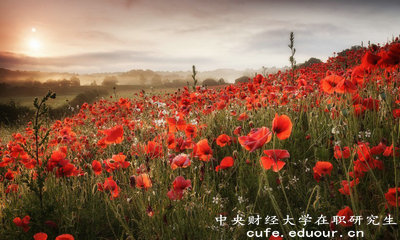 2018年免試入學(xué)的中央財(cái)經(jīng)大學(xué)在職研究生單位認(rèn)可嗎？