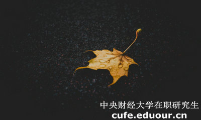 中央財經(jīng)大學(xué)在職研究生與課程研修班有哪些區(qū)別？