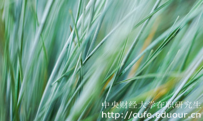 中財在職研究生申碩方式有哪些？