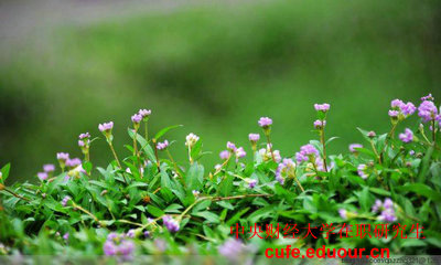 中財(cái)北京在職研究生招生專業(yè)？